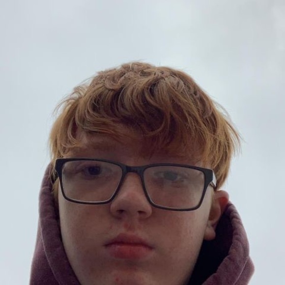 Meet your Posher, Bryce - Picture 1 of 1